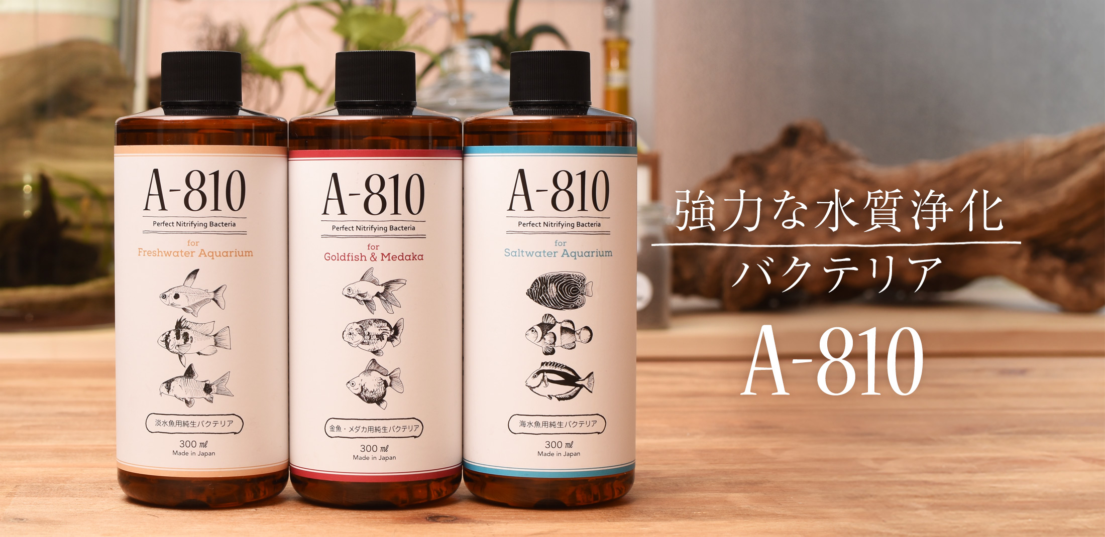 A-810｜日本プロジェクトバイオ