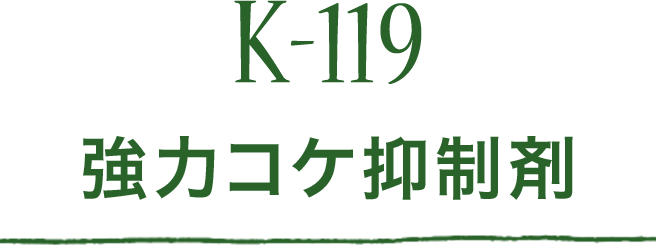 K-119 強力コケ抑制剤